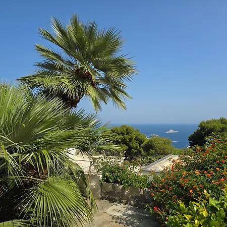 펜션 Sterlizia 카프리